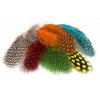 Perie Troutline Perlička Selected Guinea Fowl Feathers (Farba Blue)