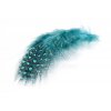 Perie Troutline Perlička Selected Guinea Fowl Feathers (Farba Blue)