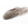 Perie Troutline Perlička Selected Guinea Fowl Feathers (Farba Blue)