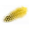 Perie Troutline Perlička Selected Guinea Fowl Feathers (Farba Blue)