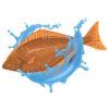 42593 1 dip starbaits g g global halibut 500ml