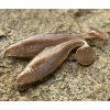 Gumená nástraha Realistic Shad Plotica 12cm (Farba P010)