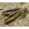 Gumená nástraha Realistic Shad Plotica 9cm (Farba P021)