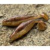 Gumená nástraha Realistic Shad Plotica 9cm (Farba P021)