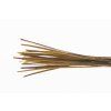 Troutline Hand Selected Stripped Peacock Quill 26ks (Farba Yellow)