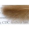 Perie CDC Troutline Feathers Tier's Pack 0.5g (Farba Yellow)