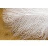 Perie CDC Troutline Feathers Tier's Pack 0.5g (Farba Yellow)