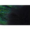 Perie Troutline Premium Mallard Barred Feathers (Farba Yellow)