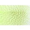Perie Troutline Premium Mallard Barred Feathers (Farba Yellow)