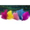 Perie Troutline Premium Mallard Barred Feathers (Farba Yellow)