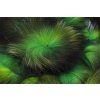 Troutline Premium Silver Fox Ring Tails (Farba Black)