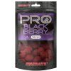 Boilies Pro Blackberry Zipper Bag (Priemer 20mm)