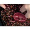 52951 8 forma delphin method quix