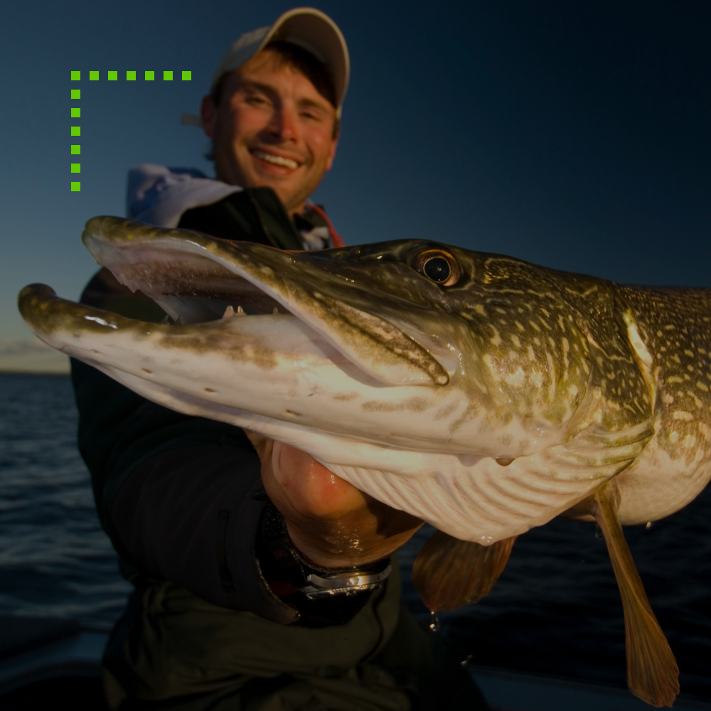 Lov štik - tipy a triky, které jinde nenajdete!