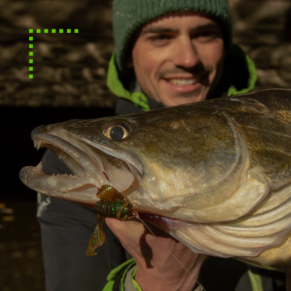 Tipy a triky na candáty! Díl I