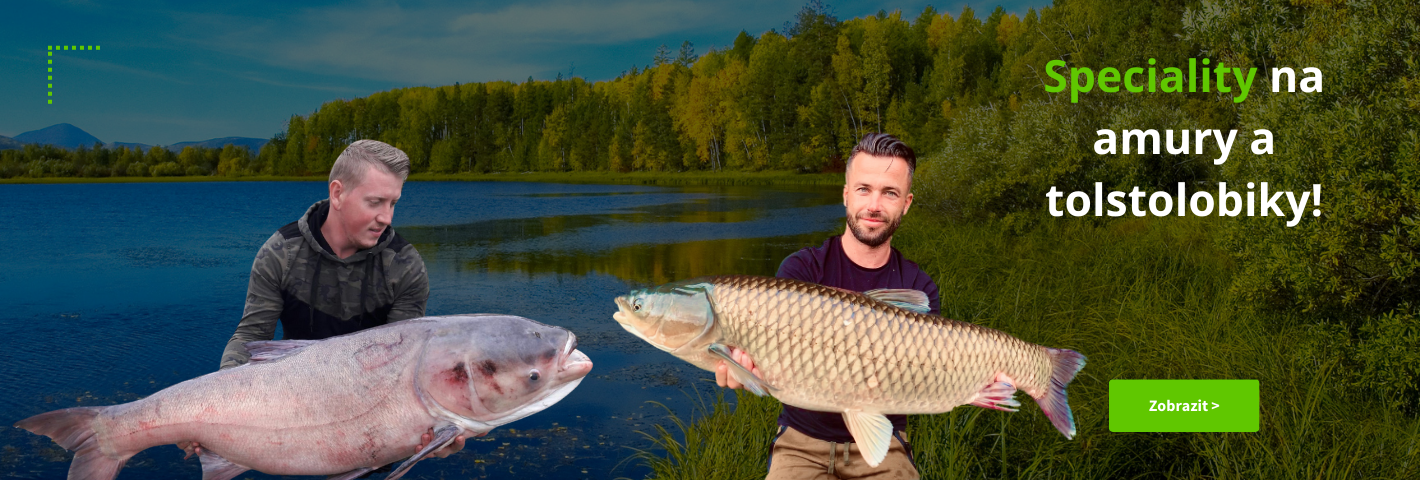 Speciality na amury a tolstolobiky