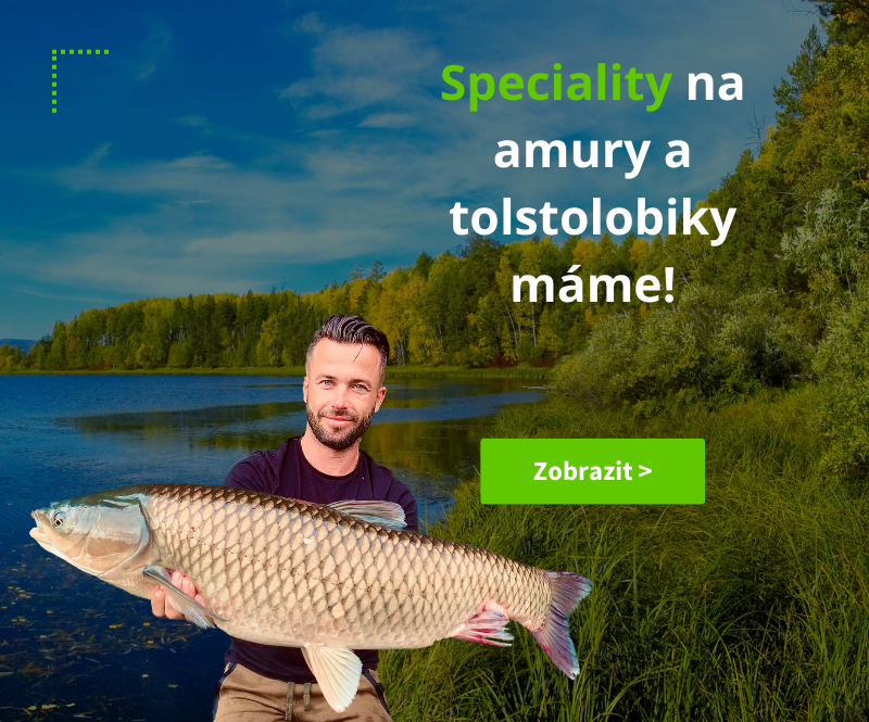 Speciality na amury a tolstolobiky
