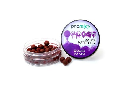 Promix Goost Power Wafter 10mm - SQUID