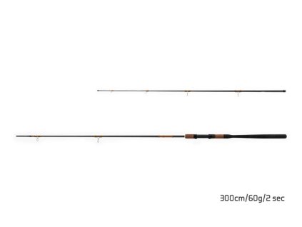 Delphin Rybářský prut  REWIR Picker + 3 špičky (Varianta Delphin Rybářský prut  REWIR Picker 3.00 m 60 g + 3 špičky)