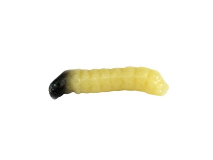 Revol Baits Nástraha Caddis Larva natural 10ks 20mm - sýr a česnek