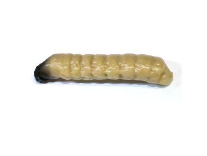 rvp b5e55740ee