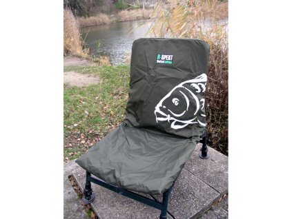 R-Spekt Ochranný přehoz na křeslo MINI