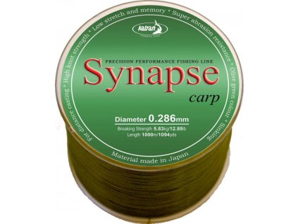 Katran Vlasec Synapse CARP