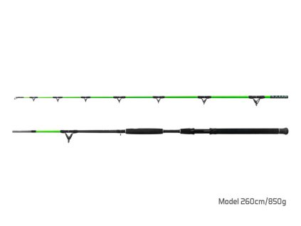 DELPHIN Rybářský prut WALKYRA 260cm 850g