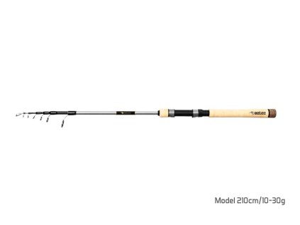 Delphin Rybářský prut AZTEC tele - 180 cm 10 - 30 g (Varianta Delphin Rybářský prut AZTEC tele)