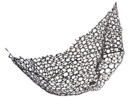 Favorite Náhradní síť k podběráku Arena (Varianta Favorite Náhradní síť k podběráku arena  černá)