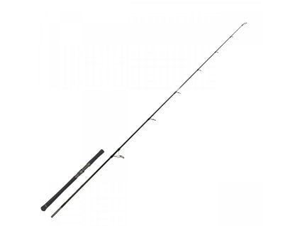 Zeck Sumcařský přívlačový prut - EVO Cat (Varianta Zeck Sumcařský přívlačový prut - EVO Cat 240 cm 100 g)