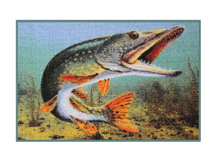 DELPHIN Rohož 3D štika - 60x40cm