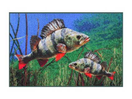 DELPHIN Rohož 3D okouni - 60x40cm