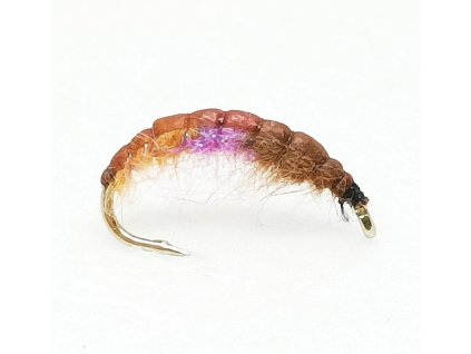 rvp cbb8ddd056
