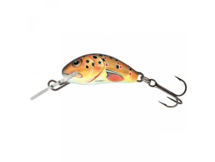 Salmo Wobler Hornet Sinking  2,5cm TROUT