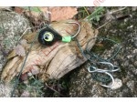 Canne Black Cat Freestyle Fireball V-Jig 225G 1,90M
