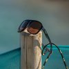 Avid Carp Polarizační Brýle SeeThru AV Classic Polarised Sunglasses Brown Lens