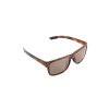 Avid Carp Polarizační brýle SEETHRU TS CLASSIC POLARISED SUNGLASSES