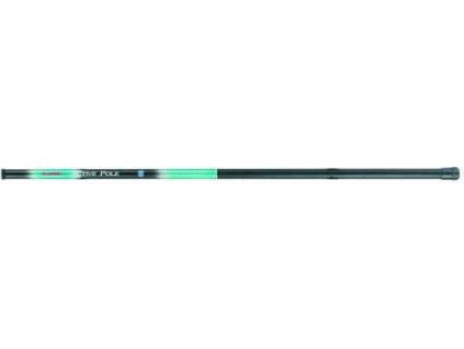 Active Pole 3,0 m 5 - 25 g