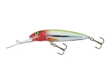 Salmo Minnow 7 cm, SDR