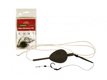 CARP EXPERT LEADFREE GO GREEN INLINE BLOWBACK RIG 80G