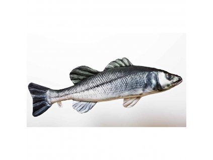 VANKÚŠ - THE EUROPEAN SEA BASS 70 CM