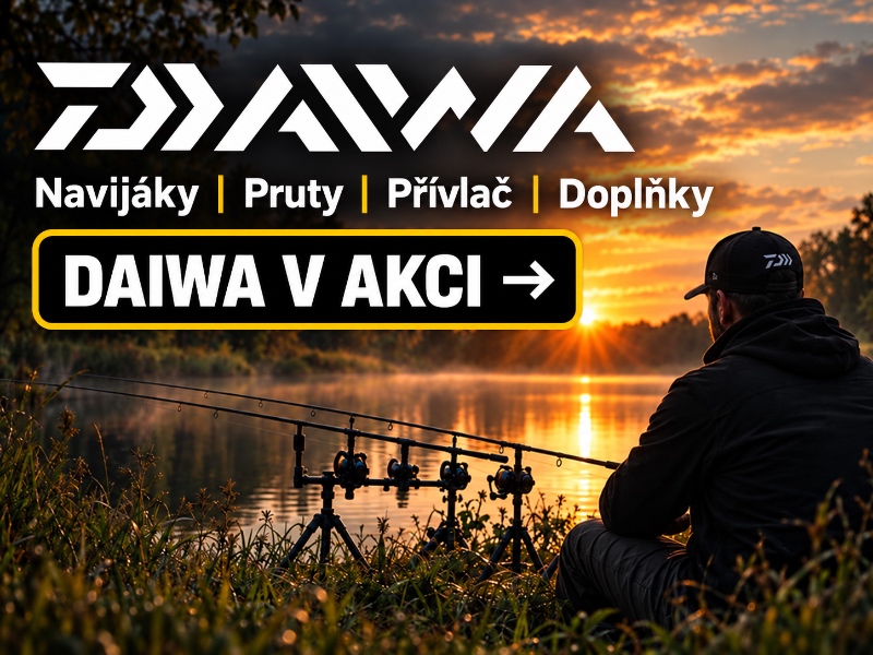 Daiwa v akci