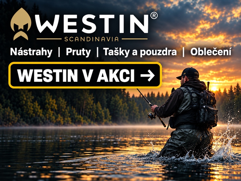 Westin v akci