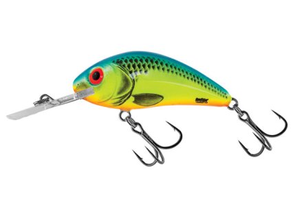 Salmo wobler Rattlin Hornet Floating Chartreuse Blue