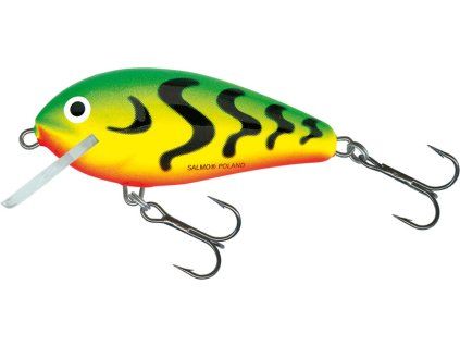 Butcher Sinking Green Tiger