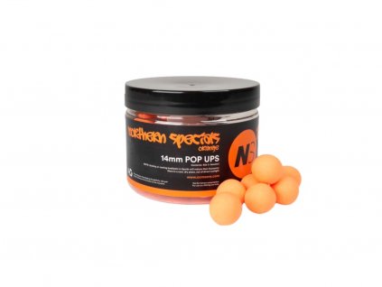 ccmoore ns1 popups orange