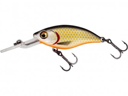 BuzzBite Crankbait Official Roach