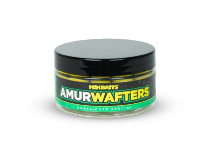 Amur Range wafters Amur