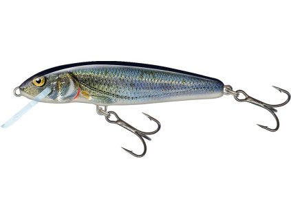 Salmo wobler Minnow Sinking Spirlin